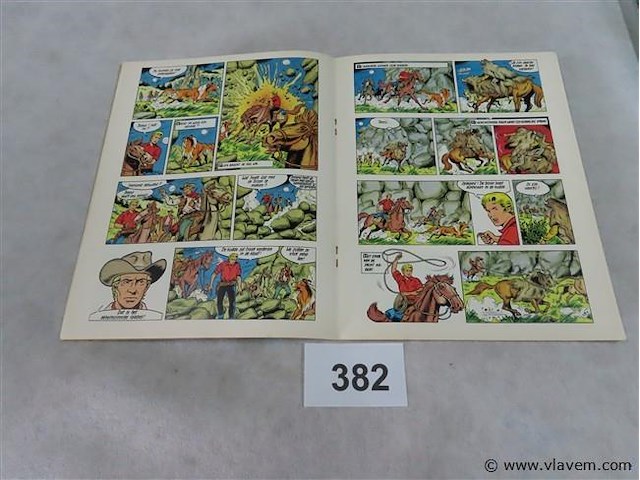 De eenzame bizon - afbeelding 2 van  3