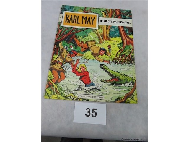 De grote ivoorsnavel - afbeelding 1 van  3