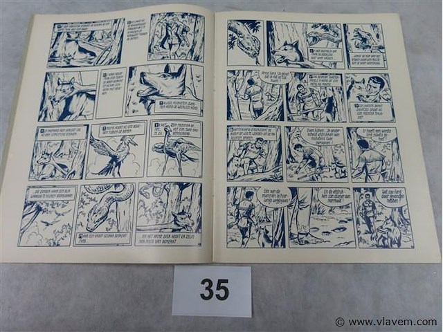 De grote ivoorsnavel - afbeelding 2 van  3