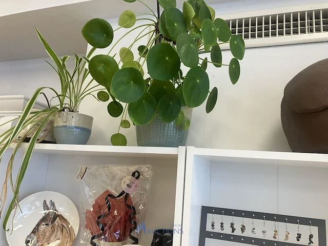 De inhoud van deze kast - afbeelding 4 van  10
