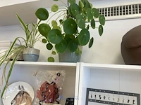 De inhoud van deze kast - afbeelding 4 van  10
