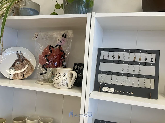 De inhoud van deze kast - afbeelding 5 van  10
