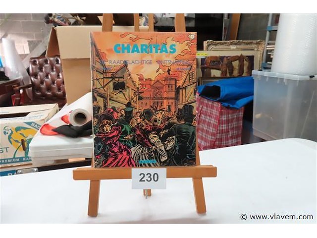 De raadselachtige ontsnapping - afbeelding 1 van  2