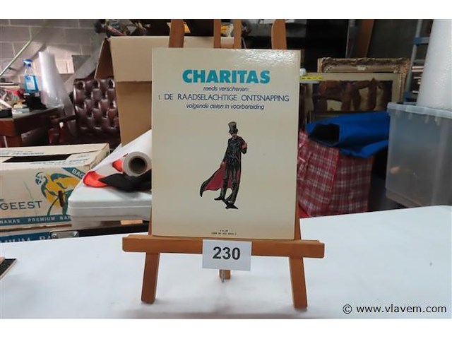 De raadselachtige ontsnapping - afbeelding 2 van  2