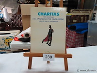 De raadselachtige ontsnapping - afbeelding 2 van  2