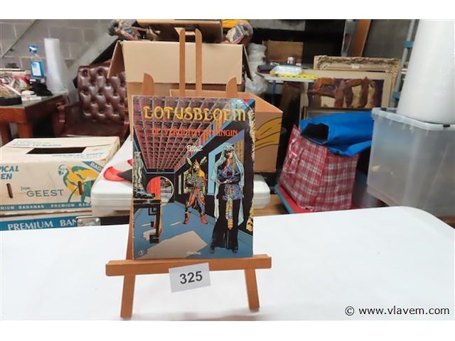 De vergeten koningin - afbeelding 1 van  2