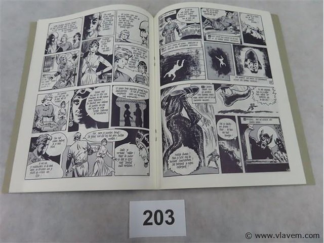 De vervloekte stad - afbeelding 2 van  3