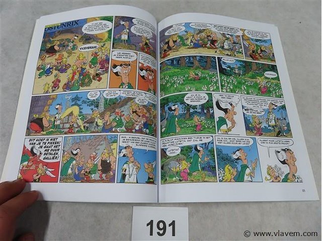 De witte iris - afbeelding 2 van  3