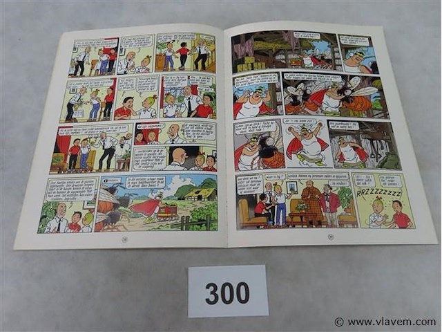 De woeste wespen - afbeelding 2 van  3