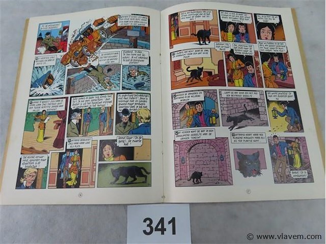 De zwarte kat - afbeelding 2 van  3