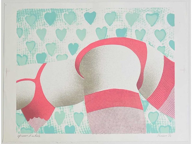 Deborah paauwe - kleurenlithografie - afbeelding 3 van  5