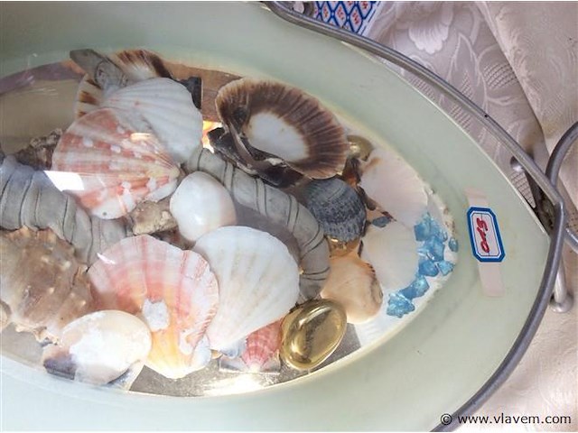 Deco bloemen/schelpen - afbeelding 2 van  2