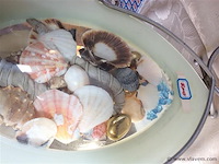 Deco bloemen/schelpen - afbeelding 2 van  2