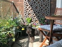 Deco element mouharabiy 180x90cm grijs - afbeelding 7 van  8