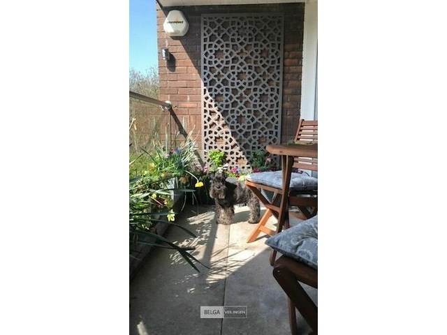 Deco element mouharabiy 180x90cm grijs - afbeelding 7 van  8