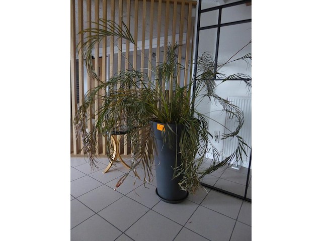 Deco - afbeelding 1 van  2