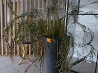 Deco - afbeelding 1 van  2