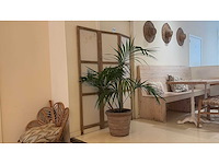 Decoratie (41x) - afbeelding 9 van  32