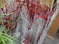 Decoratie en degelijken - afbeelding 2 van  7