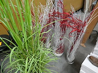 Decoratie en degelijken - afbeelding 5 van  7
