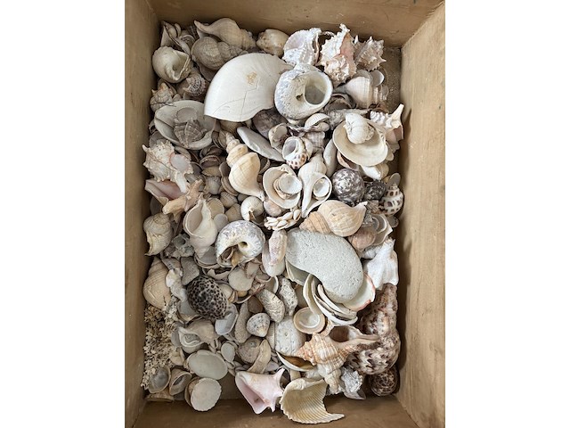 Decoratie "maritiem" - afbeelding 16 van  23