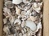 Decoratie "maritiem" - afbeelding 16 van  23