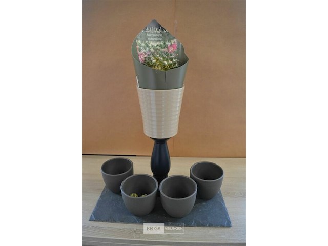 Decoratie op leien steen - afbeelding 1 van  4