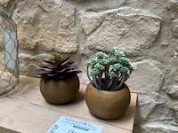 Decoratie - afbeelding 2 van  7