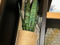 Decoratie - afbeelding 5 van  5