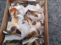 Decoratie - afbeelding 1 van  1