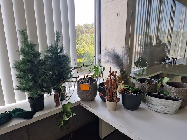 Decoratie - afbeelding 1 van  7