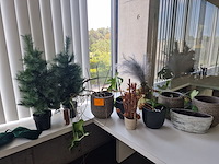Decoratie