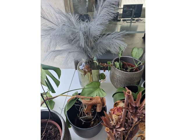 Decoratie - afbeelding 4 van  7