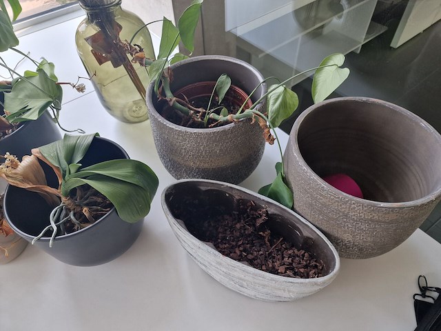 Decoratie - afbeelding 5 van  7