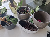 Decoratie - afbeelding 5 van  7