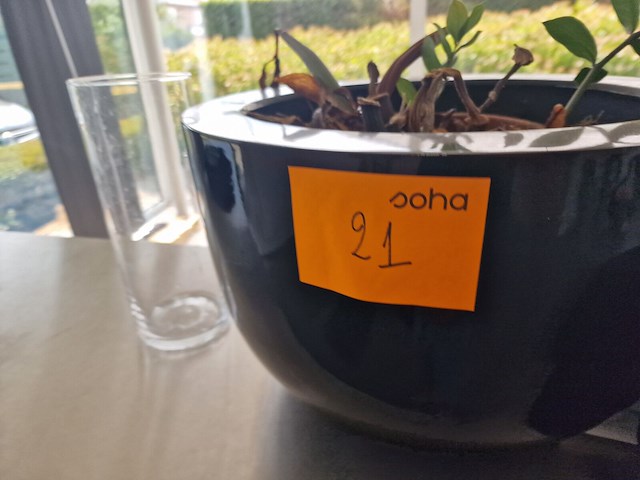 Decoratie - afbeelding 6 van  7
