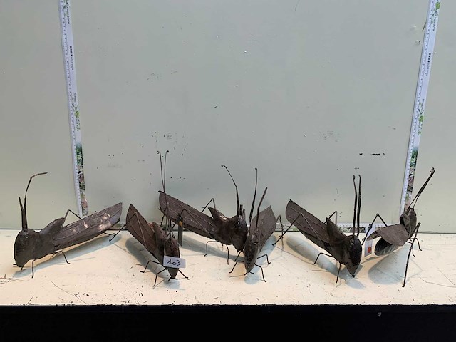 Decoratie - afbeelding 1 van  4