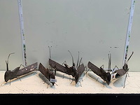 Decoratie - afbeelding 1 van  4