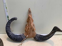 Decoratie - afbeelding 3 van  4