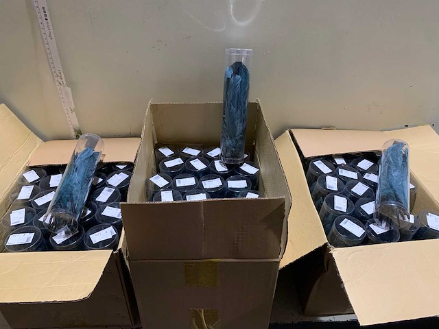 Decoratie - afbeelding 1 van  3