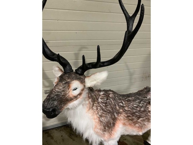 Decoratie - afbeelding 2 van  4