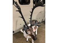 Decoratie - afbeelding 2 van  5