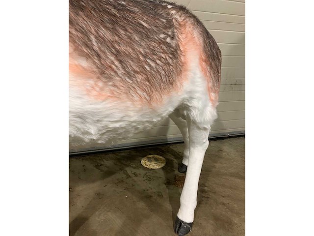 Decoratie - afbeelding 4 van  5