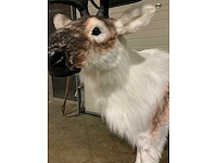 Decoratie - afbeelding 5 van  5