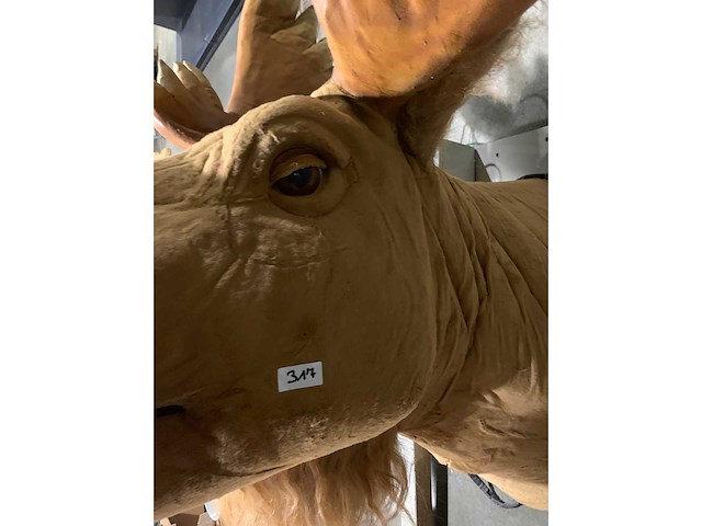 Decoratie - afbeelding 4 van  9