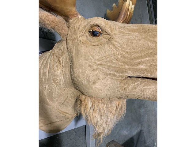 Decoratie - afbeelding 5 van  9