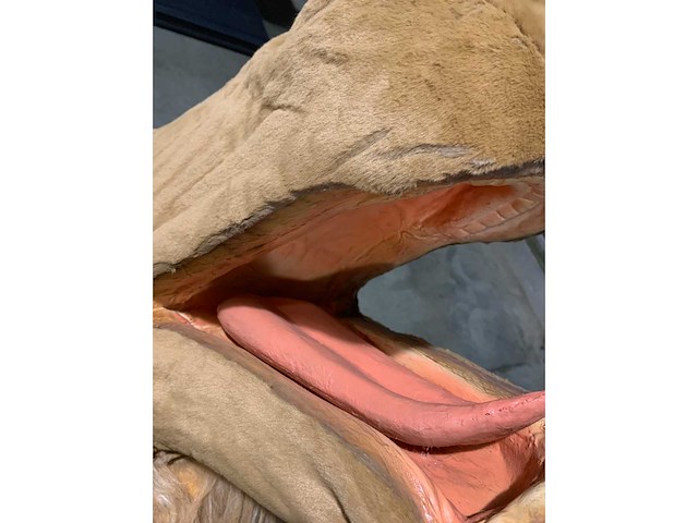 Decoratie - afbeelding 7 van  9