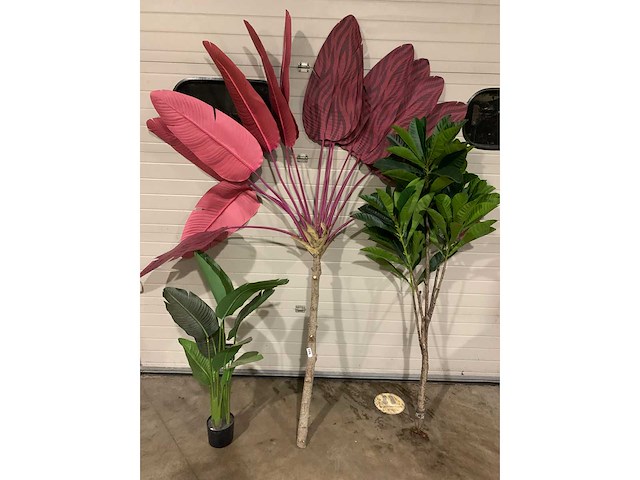 Decoratie - afbeelding 1 van  4