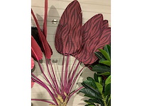 Decoratie - afbeelding 3 van  4