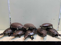 Decoratie - afbeelding 1 van  4